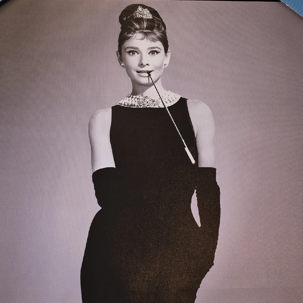 Audrey Hepburn Vibrant Creations Canvas Art